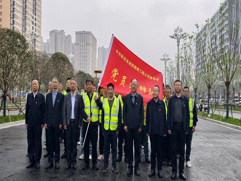 公司黨委舉行“黨員先鋒隊”授旗儀式